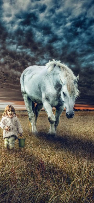 Cute Girl, Countryside, White horse, Sunset, Farm Land, 5K