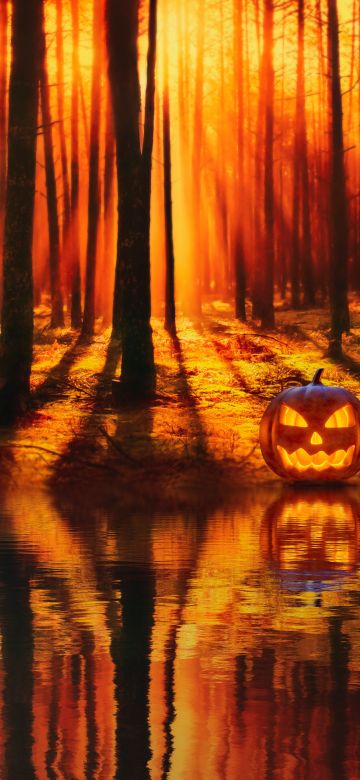 Jack-o'-lantern, Halloween Pumpkin, Forest, Lake, Reflection, Autumn Forest, Sunlight, Sunset, Trees, 5K, 8K