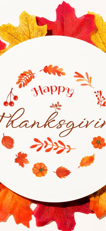 Happy Thanksgiving, Fall, Thanksgiving Day, Autumn leaves, White background