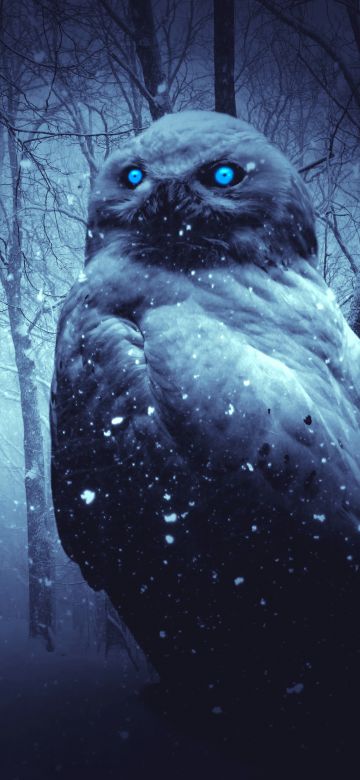 Owl, Forest, Winter, Dark, Night, Blue eyes, Scary, Snowfall, 5K