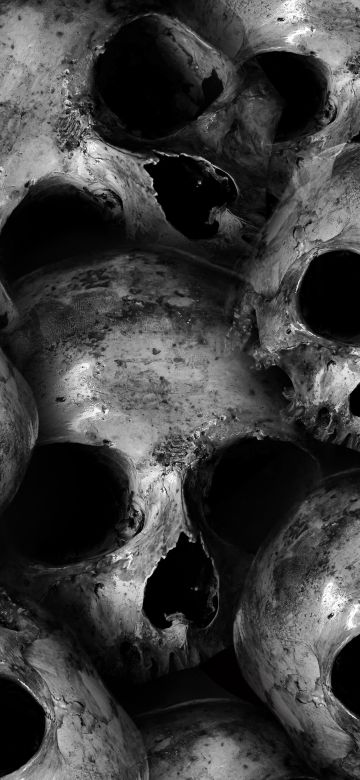 Skulls, Scary, Monochrome, 5K, Black and White