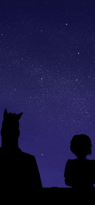 BoJack Horseman, Diane Nguyen, Silhouette, Night, Netflix series