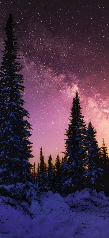 Winter, Milky Way, Snow covered, Pine trees, Sunset, 5K