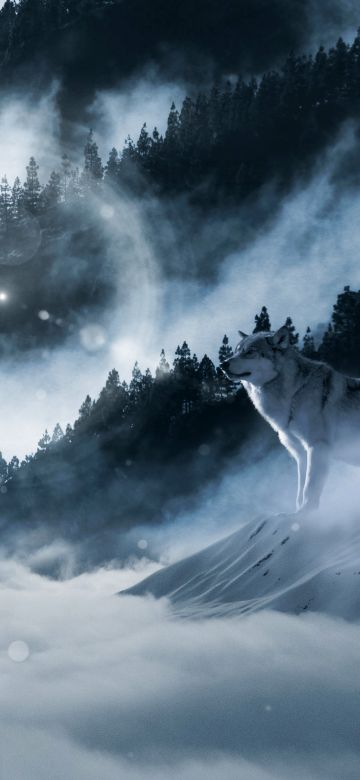 Arctic wolf, Winter, White wolf, Sunny day, Winter forest, Foggy, Mountains, 5K