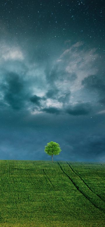 Landscape, Lone tree, Starry sky, Cloudy Sky, Green Fields, 5K, 8K