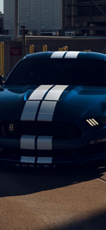 Ford Mustang Shelby GT350, Muscle cars, 5K