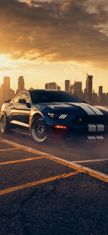 Ford Mustang Shelby GT350, Performance Sedan, 5K