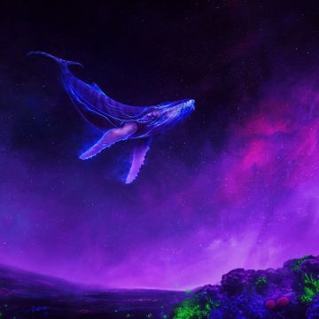 Whale, Surreal, Lucid, Colorful space