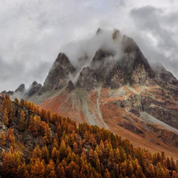 Mountains, Forest, Autumn, Foggy, Peak, Grisons, Switzerland, 5K