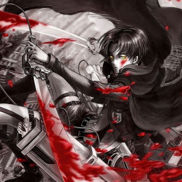 Levi Ackerman, Shingeki no Kyojin, Captain Levi, Attack on Titan, AOT