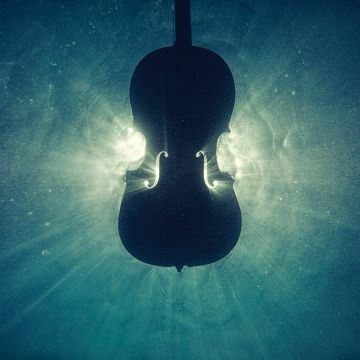 Violin, Underwater, Sea, Silhouette