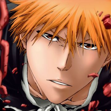 Ichigo Kurosaki, Panoramic, Bleach