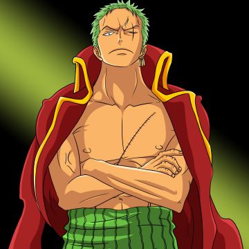 Roronoa Zoro, Pirate Hunter, One Piece