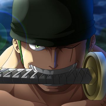 Roronoa Zoro, Katana, Wado Ichimonji, One Piece