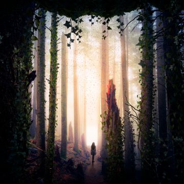 Girl, Alone, Forest, Mystic, Surreal, Portal, Dream