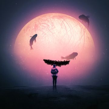 Explorer, Alone, Surreal, Dream, Fishes, Moon, Travel