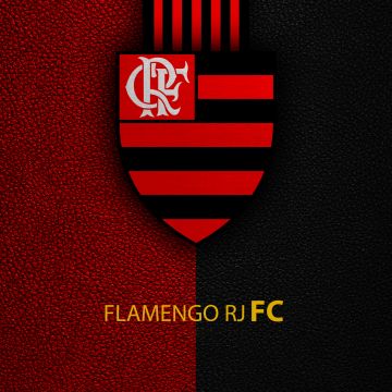 Clube de Regatas do Flamengo, Flamengo FC, CR Flamengo, Brazilian sports club