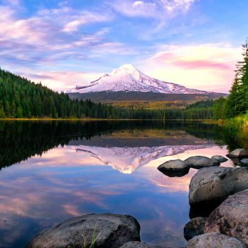 Trillium Lake, Mount Hood, Pine trees, Forest, Reflection, Oregon, USA