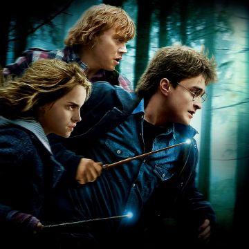 Harry Potter and the Deathly Hallows Part 1, Daniel Radcliffe as Harry Potter, Emma Watson as Hermione Granger, Ron Weasley