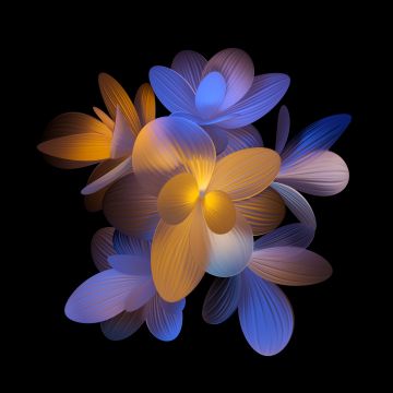 Abstract flower, Floral, 5K, Black background, Honor, Stock