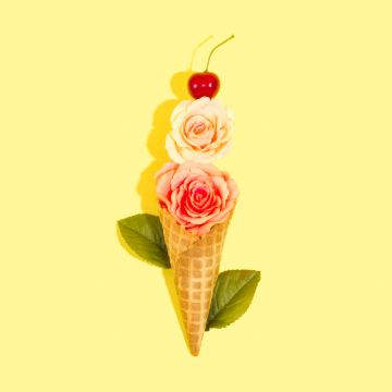 Rose flowers, Ice cream cone, Yellow background, Cherry fruits, Leaves, 5K