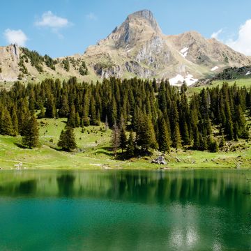 Gantrischseeli lake, Pine trees, Spring, Reflection, Mountain, Peak, Switzerland
