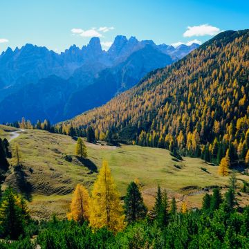 Sunny day, Landscape, Forest, Mountains, Autumn, 5K