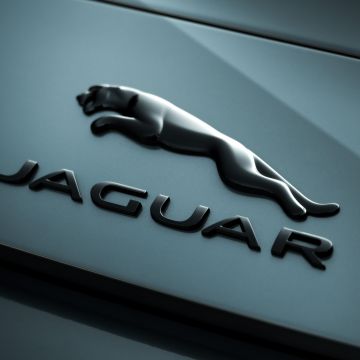 Jaguar, Logo, Pastel green, 5K, Matte