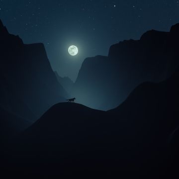 Moon, Mountains, Night, Wolf, Silhouette, Moonlight, 5K