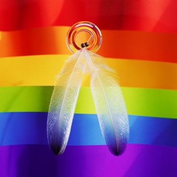 Ribbons, Rainbow, LGBTQ, Pride, Feathers, Colorful background