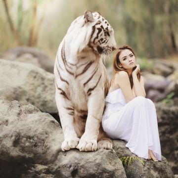 White tiger, Asian Woman, Friends, Wild, Dream