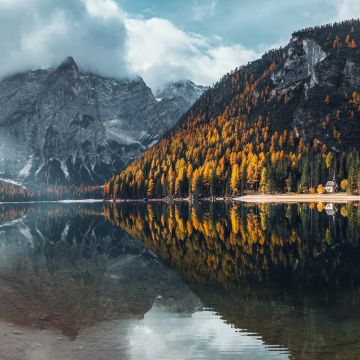 Pragser Wildsee, Lake, Italy, Trees, Landscape