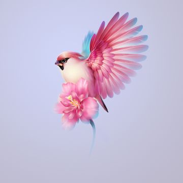 Bohemian waxwing, Aesthetic, Pink flower, Girly, Huawei Mate X3, Stock