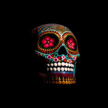 Skull, Multicolor, Black background, 5K, 8K