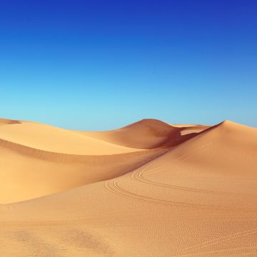 Desert, Blue Sky, Sand Dunes, Clear sky, 5K