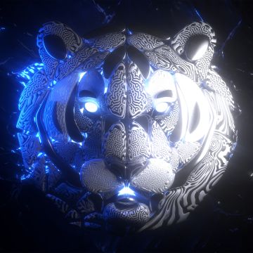 Tiger, Majestic, Ferocious, Dark background