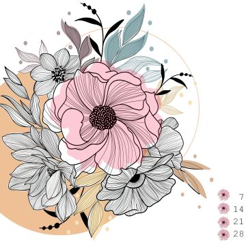 2023, August Calendar, Floral, Illustration, Simple