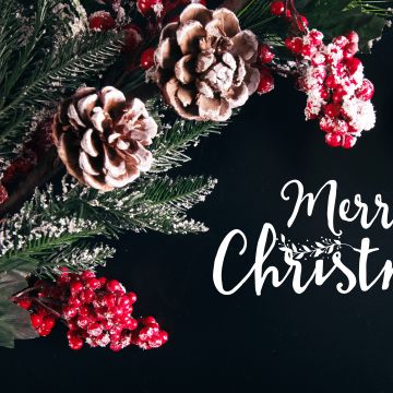 Merry Christmas, Decoration, Xmas background, Fruits, Frozen, 5K, Preppy Christmas, Navidad, Noel