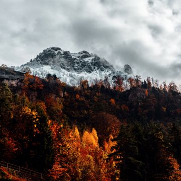 Alps, Autumn, Alps mountains, Forest, Wilderness, Landscape, Switzerland, 5K