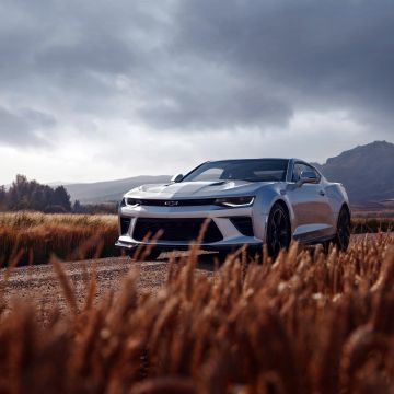 Chevrolet Camaro SS, Sports car, Digital Art