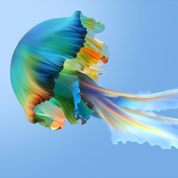 Aesthetic, Jellyfish, Xiaomi TV, Stock, Colorful, Blue background