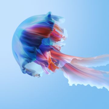 Jellyfish, Xiaomi TV, Stock, Aesthetic, Colorful, Blue background