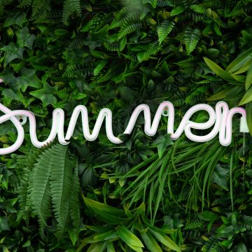 Summer, Neon sign, Green aesthetic, Plants, Ferns, 5K
