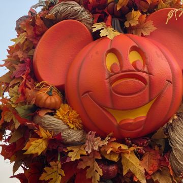 Mickey Mouse, Pumpkin, Thanksgiving, Disney World, Autumn leaves, Fall