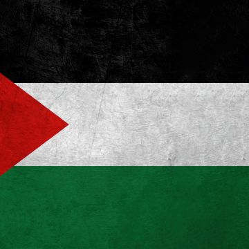 Flag of Palestine, 5K