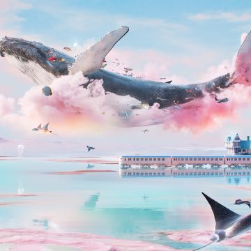 Dreamlike, Whale, Surrealism, Pink clouds, Surreal, Dream World, Dreamy