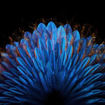 Peacock feathers, Blue aesthetic, Vibrant, Blue abstract, 5K, Oppo Find N, Stock, Elegant, Pattern