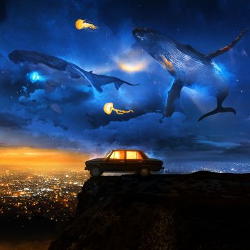 Flying, Whales, Dreamlike, Cliff, Creative, 5K, 8K, City night, Jellyfishes