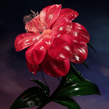 Red flower, Bloom, AI art, Elegant, 5K