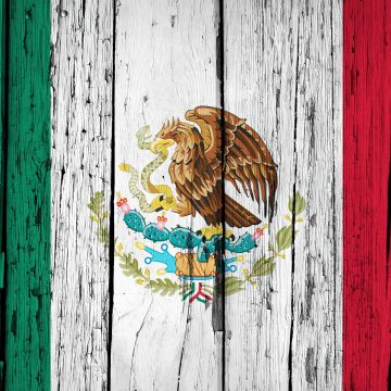 Flag of Mexico, Wooden background, National flag